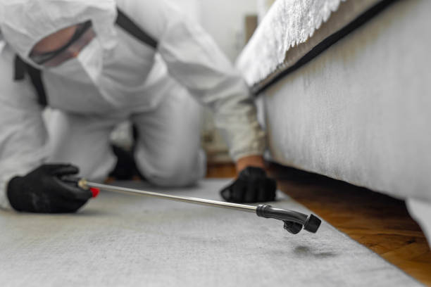 Professional Pest Control technician working in Clay County County, KY